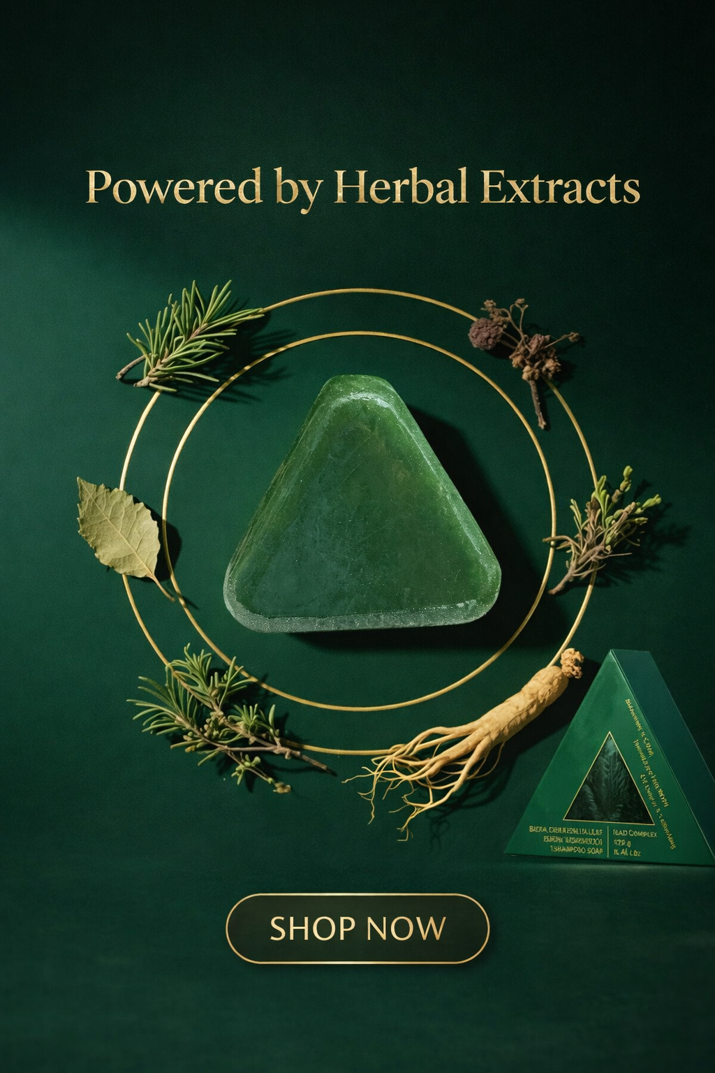 شامبو عشبية صلبة بالأعشاب الصينية – اللون الأخضر - الصورة 2